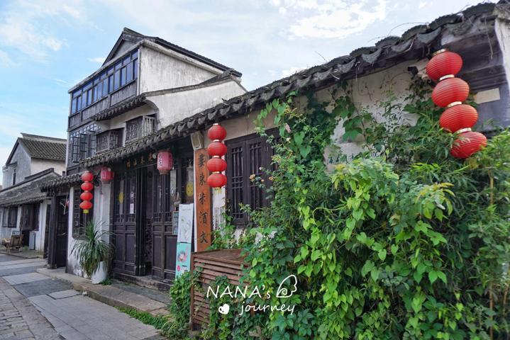 动物帮帮忙保卫家园